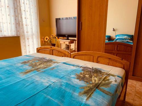 Apartment Ivo
