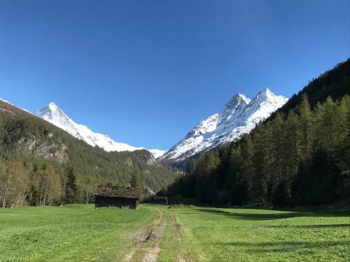 Chalet 12 Cerfs