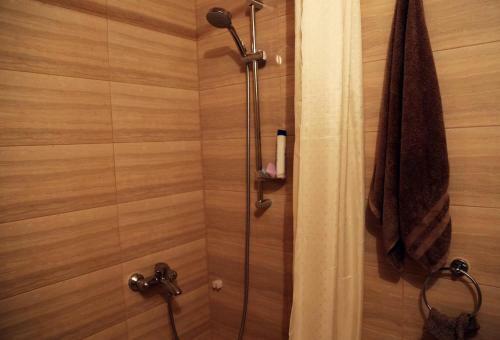 Apartment Lozengrad