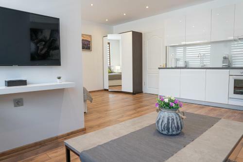 Shushi's Central Studio Apartment
