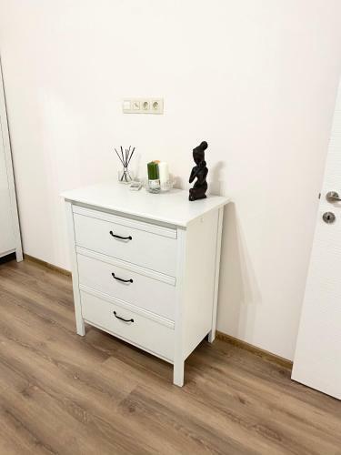 Central Apartment
