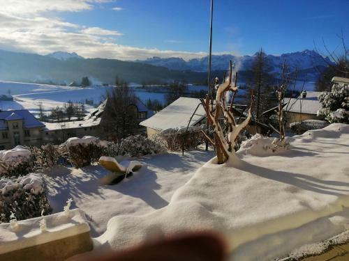 Bed & Breakfast Residenz Alpenr�sli