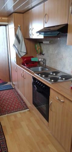 Apartamento Fewo Aletsch Dreams