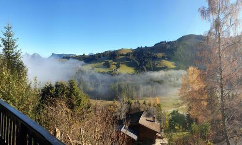 Charming Chalet With Panoramic View In Gruyere