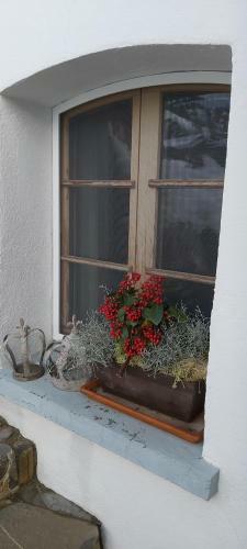 Mountain Village Room