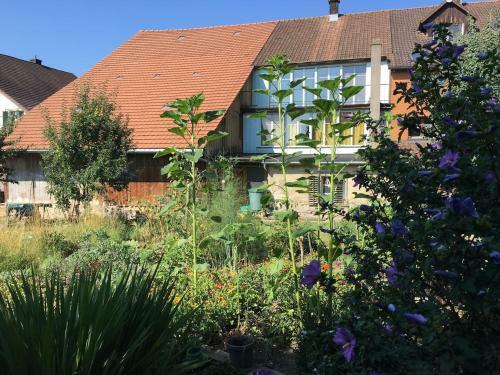 Apartamento Spacious 3 Room House With Garden