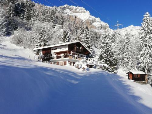 Apartamento Chalet Waldrand
