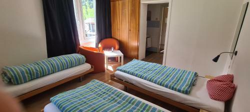 Hostel Gemmi-lodge