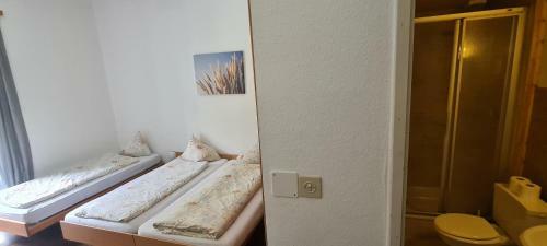 Hostel Gemmi-lodge