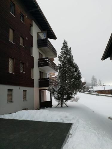 Apartamento Haus Opal Wohnung Nr. 31