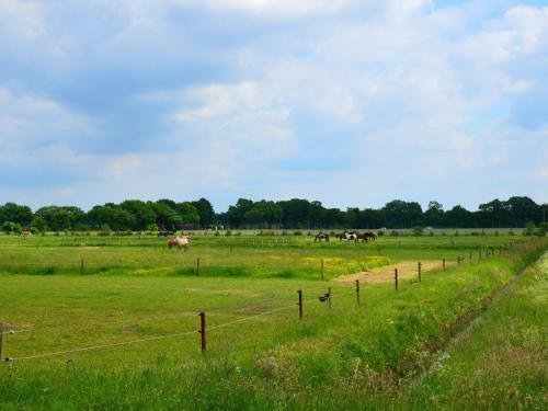 Luxury Bungalow In Drenthe With Pond