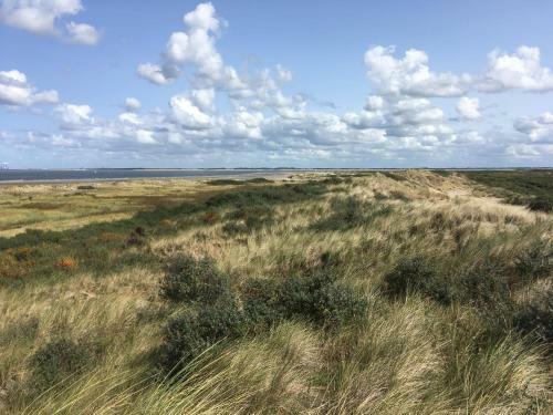 Apartamento Gastenverblijf Oostdijk