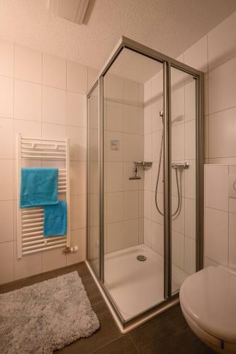 Apartment Breithorn - Beautiful Waterfall Valley Home