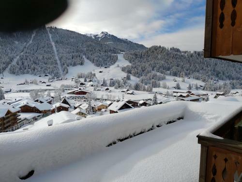 Apartamento Studio Avec Vue Splendide Sur Les Diablerets