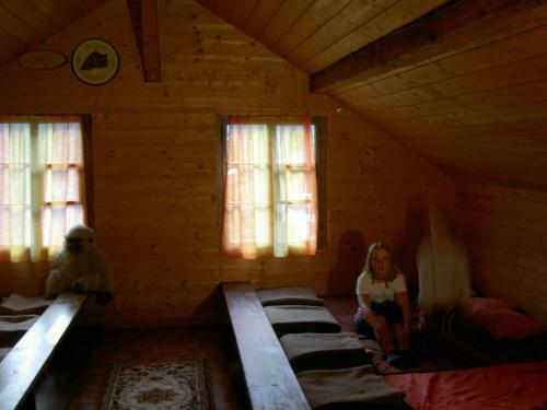 Posada Berggasthaus Obbort
