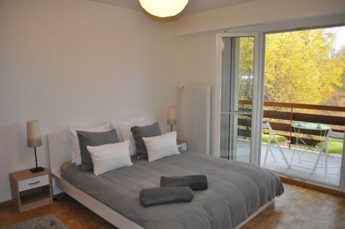 Apartment Leysin - Swiss Alps