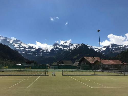 Apartamento Chalet Elk Lenk