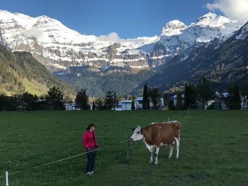 Apartamento Chalet Elk Lenk