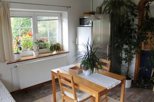 Kr�sn� Apartm�n V Br�n? Lu?ick�ch Hor