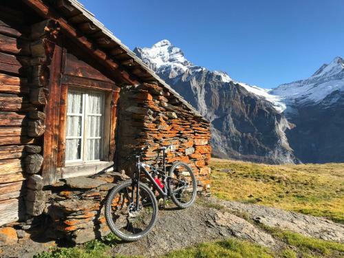 Apartamento Chalet Sunneblick