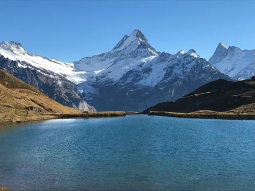 Apartamento Chalet Sunneblick