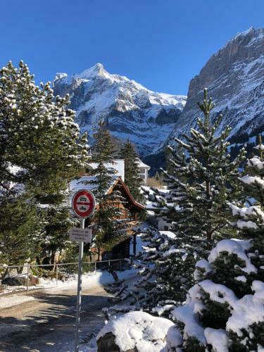 Chalet Carve - Apartments Eiger, Moench And Jungfrau