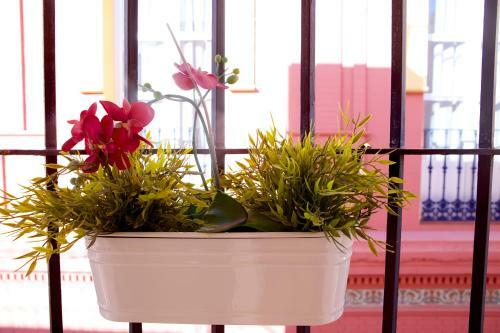 Centro Magn�fico Apartamento