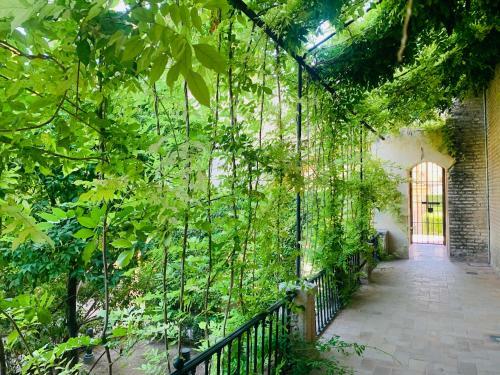 Apartamento Puerta Carmona