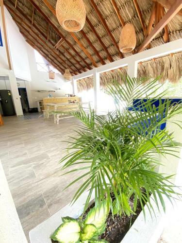 Casa Con Playa Privada Florita Blue