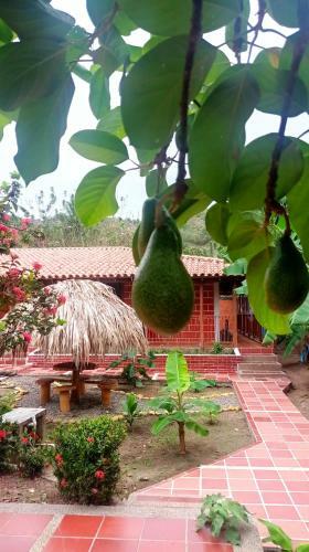 Hostal Caba�a Neverland
