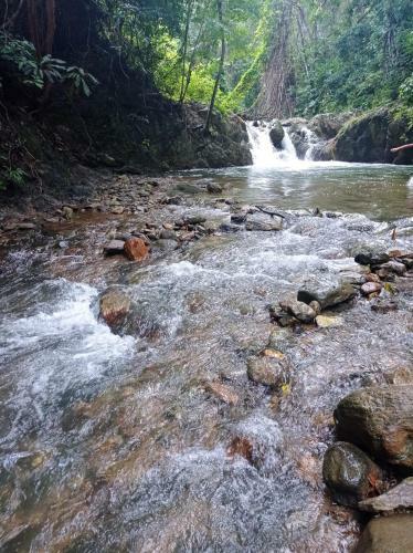 Lodge Caba�as California