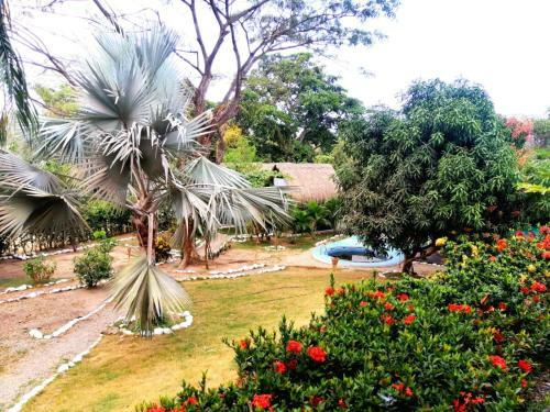 Bed & Breakfast Bonita Hostel
