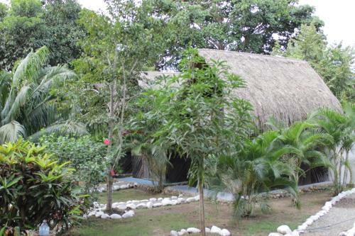 Bed & Breakfast Bonita Hostel