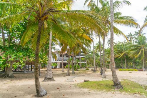 Hotel Coconuco Beach Palomino