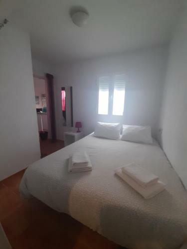 Apartamento Atico Con Terraza Privada En Centro Hist�rico