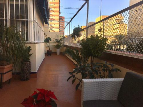 Apartamento Jard�n Cerca Del Centro