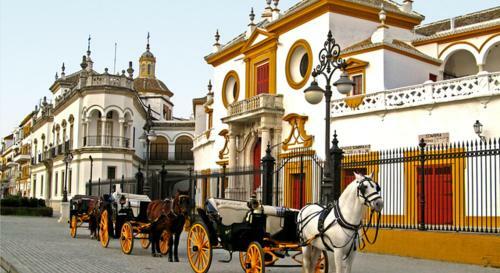 Apartamento Sevilla Butterfly Suites