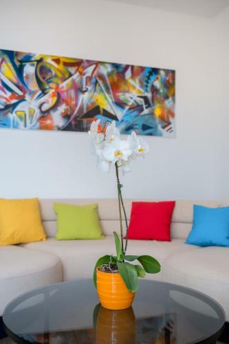 Apartamento Vila Roza