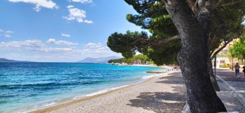 Apartman Mare