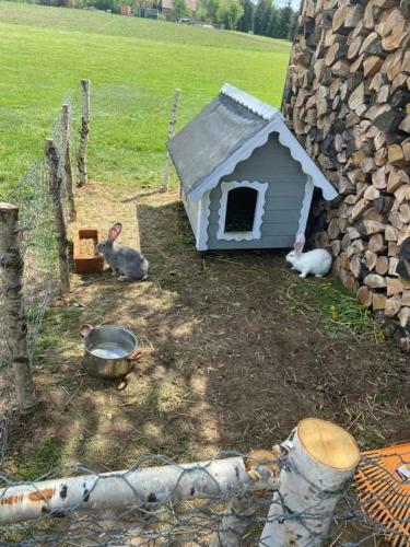 Apartamento Domek Na Uboczu
