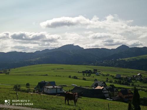 S?oneczne Domki