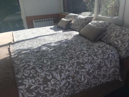 Susi Suites