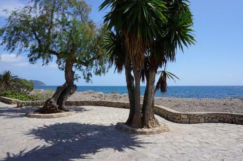 Apartment Carpediem Cala Bona Mallorca Cala Millor