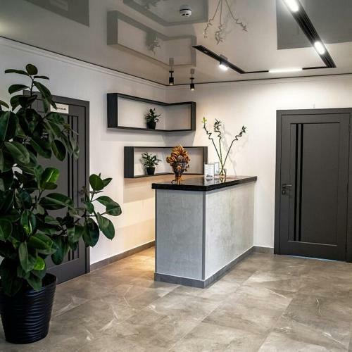 Hotel Loft Wood