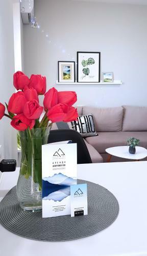Alpine Sky Apartments In Center