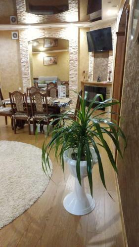 Lux Apartment City Center