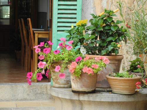 Hotel Casa Bougainvillea