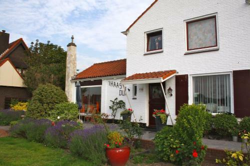 Bed & Breakfast Villa 't Haasduin