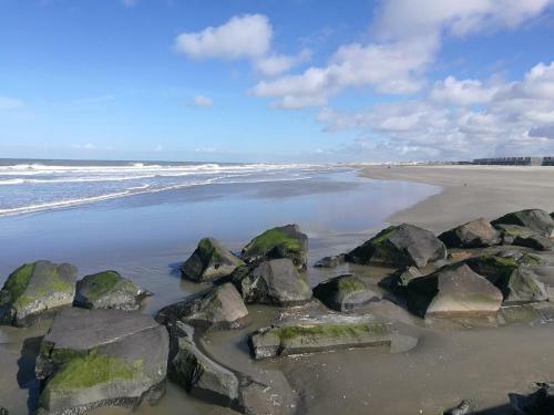 Hotel Noordzee