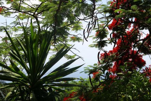 Villa Hermosa Colina